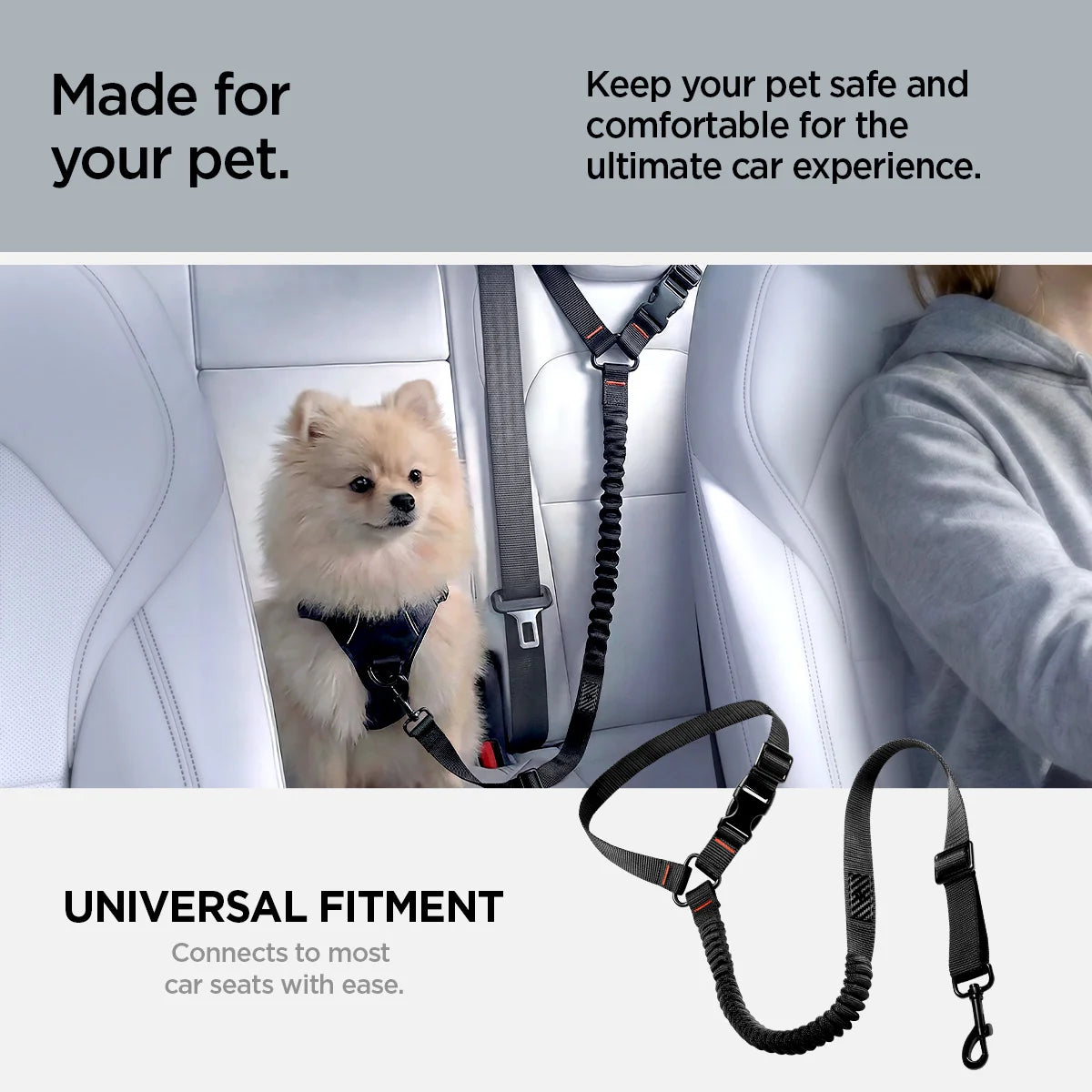 spigencase.it.com