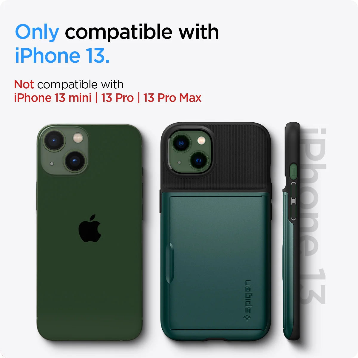 spigencase.it.com